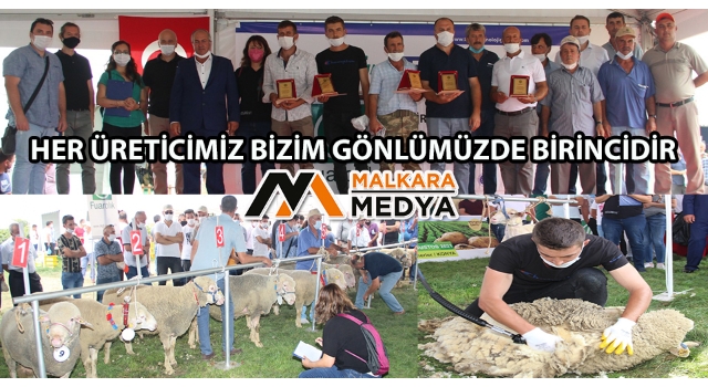 Tekirdağ Damızlık Koyun-Keçi Yetiştiricileri Birliğinin “Koç Güzellik ve Koyun Kırkım” Yarışmaları Büyük İlgi Gördü