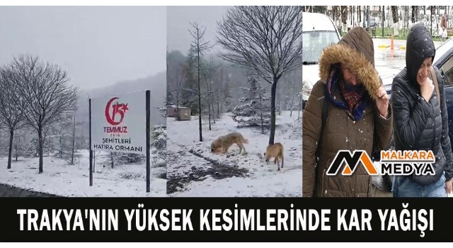 Trakya'nın yüksek kesimlerinde kar yağışı