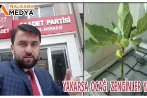 Saadet Partisi, “Ocağımıza İncir Ağacı Diktiniz”