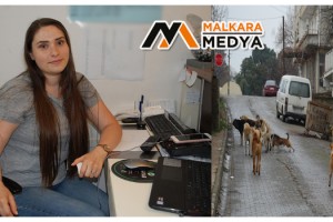 Malkara'da gelinlik provasına giden genç kız, köpek dehşeti yaşadı