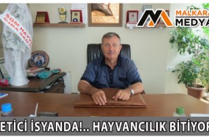 Malkara Süt Üreticileri Başkanı Osman Turgutlugil; Üretici İsyanda!.. Hayvancılık Bitiyor…