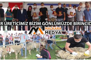 Tekirdağ Damızlık Koyun-Keçi Yetiştiricileri Birliğinin “Koç Güzellik ve Koyun Kırkım” Yarışmaları Büyük İlgi Gördü