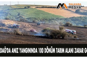 Tekirdağ'da anız yangınında 100 dönüm tarım alanı zarar gördü