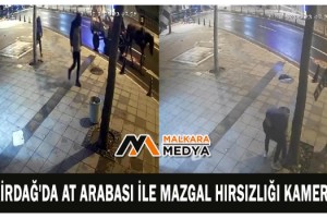 Tekirdağ'da at arabası ile mazgal hırsızlığı kamerada