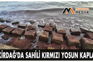 Tekirdağ'da sahili kırmızı yosun kapladı