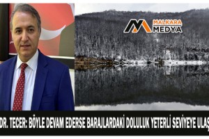 Prof. Dr. Tecer: Böyle devam ederse barajlardaki doluluk yeterli seviyeye ulaşacak