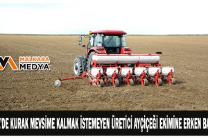 Edirne'de kurak mevsime kalmak istemeyen üretici ayçiçeği ekimine erken başladı